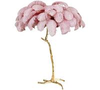 Dimmable LED Floor Lamp with Tall Ostrich Feathers for Princess Bedrooms, Living Room and Office Decor - Elegant Lighting Solution