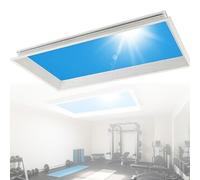 Dimmable LED Lamp with Remote Control, Virtually Blue Sky Light Artificial Skylight Ceiling Fixture, for Windowless Room Basement Living Room Bedroom Simulate A Sunlight Embedded-32*62*80cm