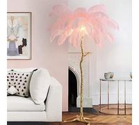 Dimmable Modern Luxury Resin LED Floor Lamp with Natural Ostrich Feather Shade - Perfect for Reading Bedroom Décor Home Office or Hallway Ambiance