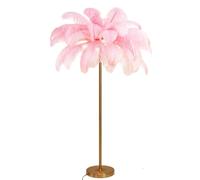 Dimmable Real Ostrich Feather Standing Light with Gold Finish 3 Color Options Foot Switch Perfect for Dining Room Kitchen and Girls' Room Decor