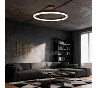 Dimmable Tri Color Modern LED Ceiling Light Fixture Iron & Acrylic Stylish Flush Mount Lamp for Bedroom Dining Room Study Room (White 50cm Diameter x 18cm Height)