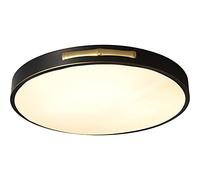 Dimming Ceiling Lights Round Shape All Bronze Ceiling Lamp Black Creativity Personality Modern Northern Europe Retro Study Bedroom Ceiling Light,Pendant Lamp Fixture