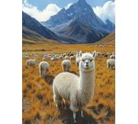 Dimond Art for Adults Alpaca Animal 5D Diamond Painting Kits for Adults, DIY Gem Art Full Round Drill Crystal Dimonds Embroidery Cross Stitch Kits, Home Wall Decor, Gifts for Women 70x100cm S-U395