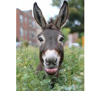 Dimond Art for Adults Donkey 5D Diamond Painting Kits for Adults Animal, DIY Gem Art Full Square Drill Crystal Dimonds Embroidery Cross Stitch Kits, Home Wall Decor, Gifts for Women 80x120cm 0-F629