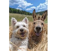 Dimond Art for Adults Donkey Dog 5D Diamond Painting Kits for Adults, DIY Gem Art Full Round Drill Crystal Dimonds Embroidery Cross Stitch Kits, Home Wall Decor, Gifts for Women 80x120cm D-TQ83