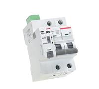Din Rail GYM9 2P MCB With Autoreclose Device Automatic Reset Circuit Breaker Home MCB Auto Recloser 1Pcs(GRD9L-R-AC220-Auto,2P-MCB-25A)