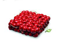DINARA KASKO Cherry Silicone Mold for Baking. Geometric 3D Silicone Mold for Cake or Mousse. by World Famous Pastry Chef