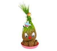 Dinchaakuarry Grass Head Growing Doll - Cute Mini Plant Ornament | Decorative Indoor Planter Home workspaace Study Bedroom Tabletop Eco Accent Natural Sprout Shelf Display Gift Creative Greenery Room
