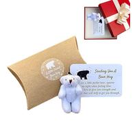 Dinchaakuarry Love Token Bear Hugging Hug Riminder, Little Pocket Bear, Bear Love Token We Give Us A Bear That Needs It For Graduation, Birthday, High