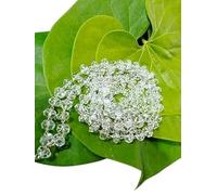 Dine Gems Real Sphatik Mala Original Certified Sfatik Original Beads Sfatik Mala Silver Chain Sphatika Rosary Mala Diamond Cut Sphatik Mala Crystal Quartz 108 Beads Rosary