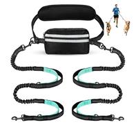 DingGreat Hands Free Dog Lead for 2 Dogs, Double Bungee Running Lead with Adjustable Waist Belt (27"-55"), Dual Handle & Removable Pouch, No Tangle Design for Medium/Large Breeds