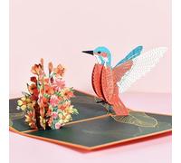 DingGreat Humming Bird Birthday Card,Hummingbird & Flower Pop Up Card, for Mom,Mothers Day Card,Valentines Day, attached to the gifts