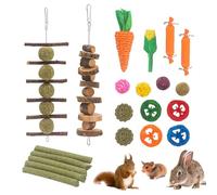 DingGreat Pack of 21 Rabbit Chew Toy, Teeth Cleaning Molar Toy, Guinea Pig Teething Toy, Apple Stick Grass Ball Hay Ball Molar Snack Rabbit Toy Boredom Breaker