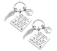 dinghaole 2 Pcs Loss of Pet Keychain, Pet Memorial Keychain, Sympathy Gifts Memory of Family Dog Cat pet Keyring Remembrance Gift for pet Dog Lover Memorial Keyring Angel with Paws
