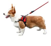 Dinghaole Dog leash pet chest and back,Dog Harness No Pull,Breathable Adjustable Pet Harness Dog Vest Harness,Step-in Breathable Reflective Puppy Cat Dog Vest Harnesses for Small Medium Dogs