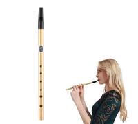 dinghaole Irish Tin Whistle D, Six-Hole D Tin Whistle, tin Whistles D for Wind Instrument Beginner, Traditional Celtic Music for Beginners Intermediates Expert Band Performances