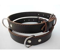 Dingo Classic Collar Dog Comfort, Lined with Felt, Grain Leather, Brown 12041