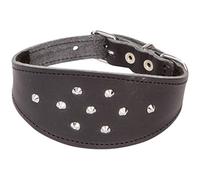 Dingo Decorative Black Leather Collar with Studs for Hound, Whippet, Pariah, Sighthound, Pointer and Other Gun Dog Breeds 12380