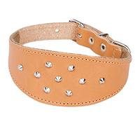 Dingo Decorative Collar with Studs for Hound, Whippet, Pariah, Sighthound, Pointer and Other Gun Dog Breeds, Natural Genuine Leather 12378
