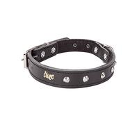 Dingo Designed Leather Dog Collar, Lined with Felt, Decorative Studs, Durable, Black 12056