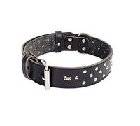 Dingo Designed Leather Dog Collar, Lined with Felt, Decorative Studs, Durable, Black 12090