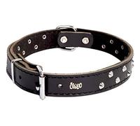 Dingo Designed Leather Dog Collar, Lined with Felt, Decorative Studs, Durable, Black 12479