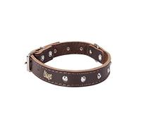 Dingo Designed Leather Dog Collar, Lined with Felt, Decorative Studs, Durable, Brown 12078
