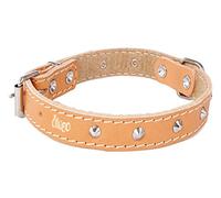 Dingo Designed Leather Dog Collar, Lined with Felt, Decorative Studs, Durable, Natural Colour 12055
