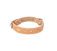 Dingo Designed Leather Dog Collar, Lined with Felt, Decorative Studs, Durable, Natural Colour 12059
