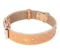Dingo Designed Leather Dog Collar, Lined with Felt, Decorative Studs, Durable, Natural Colour 12080