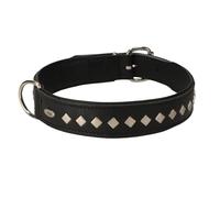 Dingo Dog Collar Made of Exclusive Soft Leather, Decorative and Durable Black 11429