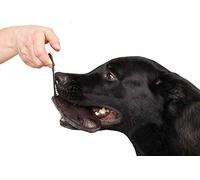 Dingo Gear Bite Tug Genuine Leather Brown Handmade Tough Toy for K9 Dog Training and Play S00227, Chocolate
