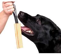 DINGO GEAR Dog Bite Tug Handmade of Beige Grain Leather, Strong Tug for Bite Training K9 IPO Agility and Just Fun S00231