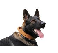 DINGO GEAR Drago Leather Dog Collar, Amortized with Strong Wide Handle, Handmade, Neck Girth 40-48 cm, for Training and Walks, Pull Protection, Soft Padding, Brown (S03910)
