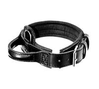 DINGO GEAR Drago Leather Dog Collar, Amortized with Strong Wide Handle, Handmade, Neck Girth 48-56 cm, for Training and Walks, Pull Protection, Soft Padding, Black (S04021)