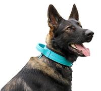 DINGO GEAR Drago Leather Dog Collar, Amortized with Strong Wide Handle, Handmade, Neck Girth 56-64 cm, for Training and Walks, Pull Protection, Soft Padding, Blue (S03923)