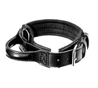 DINGO GEAR Drago Leather Dog Collar, Amortized with Strong Wide Handle, Handmade, Neck Girth 56-64 cm, for Training and Walks, Pull Protection, Soft Padding, Black (S04022)