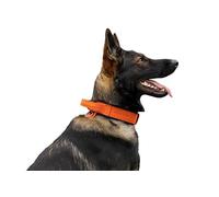 DINGO GEAR Drago Leather Dog Collar, Amortized with Strong Wide Handle, Handmade, Neck Girth 56-64 cm, for Training and Walks, Pull Protection, Soft Padding, Orange (S03922)