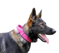 DINGO GEAR Drago Leather Dog Collar, Amortized with Strong Wide Handle, Handmade, Neck Girth 56-64 cm, for Training and Walks, Pull Protection, Soft Padding, Pink (S03924)