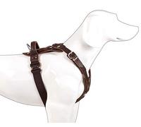 DINGO GEAR Exclusive Dog Harness, Handmade of Noble Leather, Polyamide Padding, for Dogs with a Chest Circumference From 60 to 75 cm, Dark Brown, Size M (S01-17)