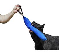 DINGO GEAR Nylcot Bite Tug for Dog Training K9 IGP & Fun, 1 Handle, Blue 45 x 8 cm