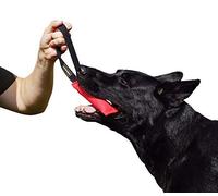 DINGO GEAR Nylcot Bite Tug for Dog Training K9 IGP & Fun, 1 Handle, Red 15 x 5 cm