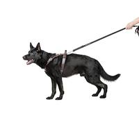 DINGO GEAR Predator Stylish Leather Harness For Dog, Hand Crafted, Sturdy Genuine Leather, Chromed Fittings, Short Handle, Adjustable, Fine Bronze, Size M (S02-17)