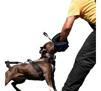 DINGO GEAR Soft Nylcot Mini Bite Sleeve with Handle and Grip Inside the Bite Guard for IGP, K9, Dog Sports, Puppy, Young Dog Training, Blue, Bite Level 1 - Beginner (S01962)