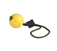 DINGO GEAR WWW.DINGOGEAR.COM 1977 Magnetic Set for the Dog Training: Encased Magnet and Magnet Handle Rubber Ball