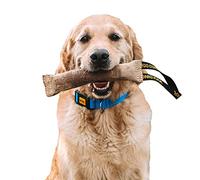 DINGO Jute Tug Toy Strong 1 Handle Squeaker Pull Rope for Dog Training, Retrieve, Bite Work, Prey Drive, Tug of War, Fun, Handmade Dummy 28 cm Natural Colour (10537)