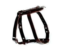 Dingo Leather Harness for Tracking, Seeking Scents and Dog Fieldwork, Guard Type, Brown 10675