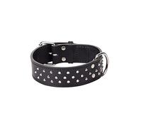 Dingo Predatory Dog Collar from Double Stapled Leather, Lined, Elegant Decorated with Studs, Black 12099