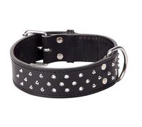 Dingo Predatory Dog Collar from Double Stapled Leather, Lined, Elegant Decorated with Studs, Black 12116