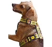 Dingo Waldemar Rutkowski Guard Harness - Handmade, Adjustable, Recycled Material, Black/Yellow with “DO NOT PET” Warning Text for Safer Dog Walks, Size M (95378)
